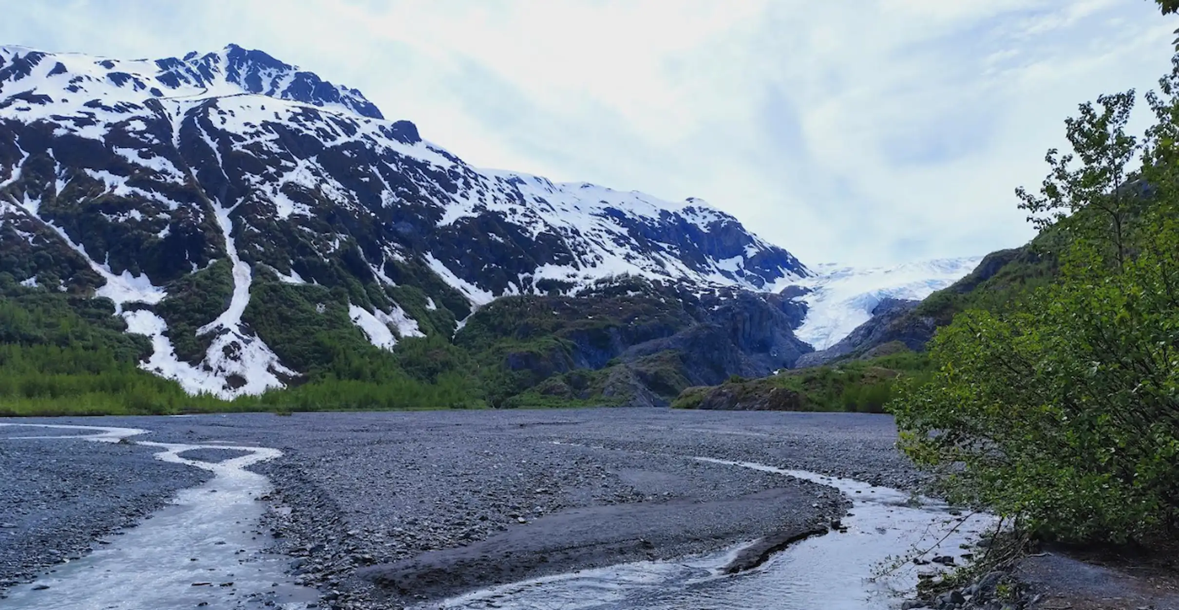 Trail leading to the glacier
